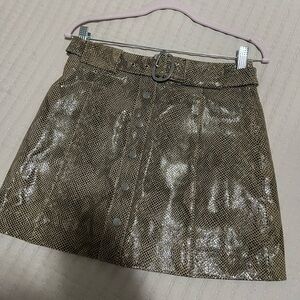 Zara Shimmering Silver A-Line Skirt